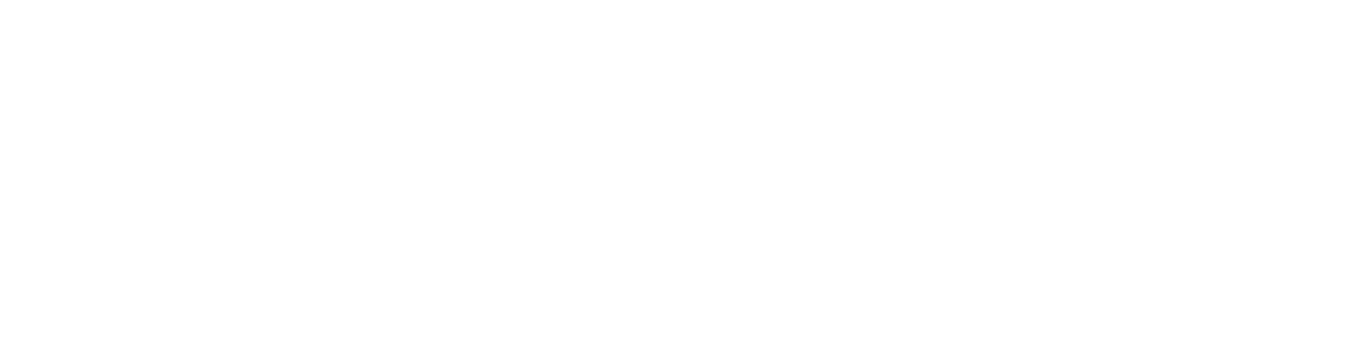 Zandonella Analisi e Gestione dei Rischi